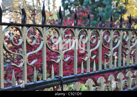 Battuto decorativo recinzione in ferro verniciato in nero e oro circondano un colorato giardino. Foto Stock