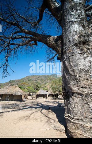 Alberi di baobab e case in paglia stand nel villaggio di Cape Maclear all'estremità meridionale del Lago Malawi. Foto Stock