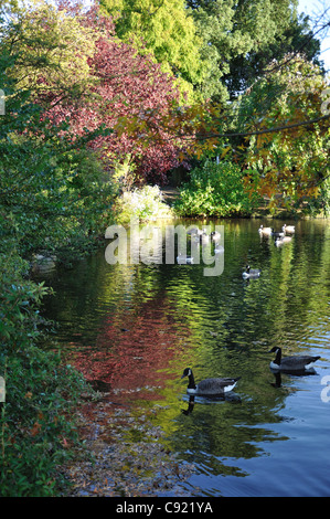 Broomfield Park e piccola area di Palmer's Green Foto Stock