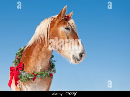 Progetto di cavallo che indossa una ghirlanda di Natale contro il blu limpido cielo invernale Foto Stock