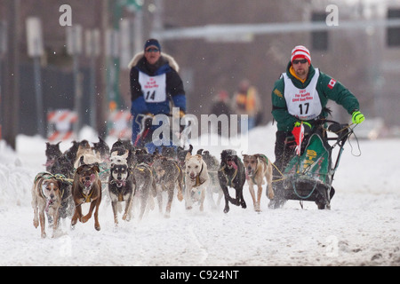 Blayne Streeper passa musher numero 14 durante la pelliccia Rondy nel Campionato del Mondo di Sled Dog Race, Anchorage in Alaska, Foto Stock
