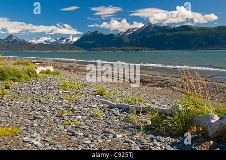 Vista panoramica di Kachemak Bay lungo la passerella di Omero e spiaggia, Penisola di Kenai, centromeridionale Alaska, estate Foto Stock