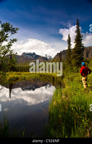 Uomo in piedi accanto ad un piccolo stagno off la Nabesna Road in Wrangell-St. Elias National Park, Alaska Foto Stock