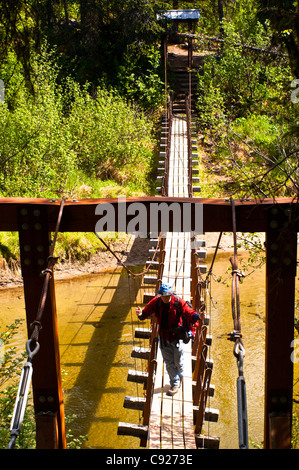 Un padre e figlio escursionismo attraverso un ponte sospeso che attraversa Byers Creek sul Byers Lago Trail nel Denali State Park, Alaska Foto Stock