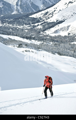Donna sciatore sci backcountry in PMS ciotola in Turnagain Pass, Chugach National Forest, centromeridionale Alaska, inverno Foto Stock