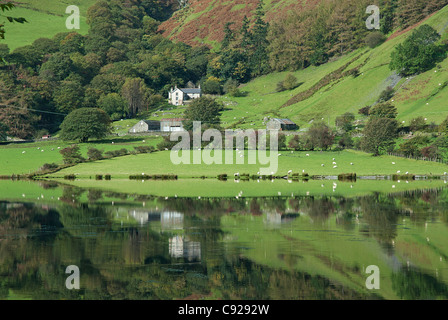 La Gran Bretagna, il Galles, Tal-y-Lago di Llyn (Llyn Mwyngil) Foto Stock