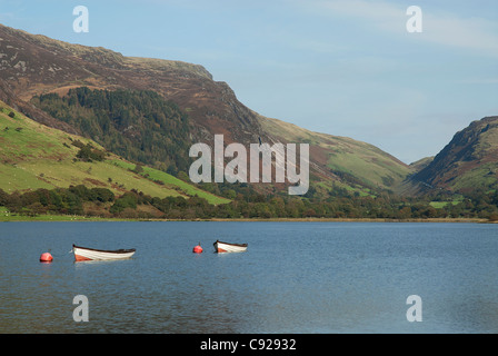 La Gran Bretagna, il Galles, Tal-y-Lago di Llyn (Llyn Mwyngil) Foto Stock