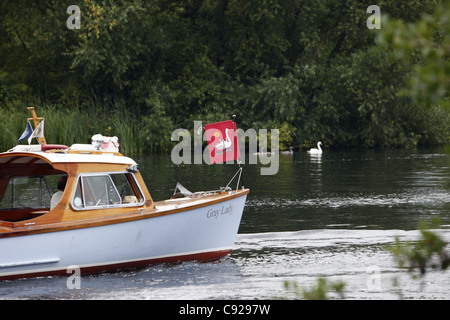 Un entourage di barche di seguire il cigno tomaie giù il fiume durante il cigno batte in volata, il fiume Tamigi e Henley, Inghilterra Foto Stock