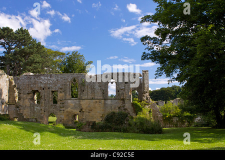I ruderi di pietra di Jervaulx Abbazia, fondata nel 1156 da monaci cistercensi, situato vicino al Fiume Ure nel North Yorkshire. Foto Stock
