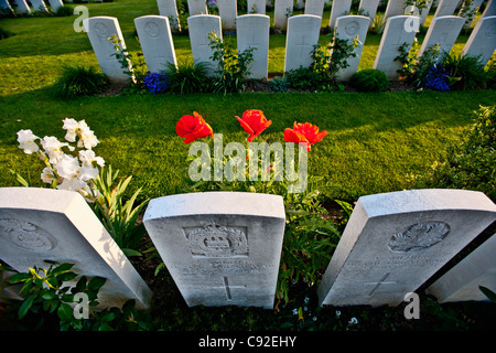 Close up di fiori che crescono sulle tombe Foto Stock