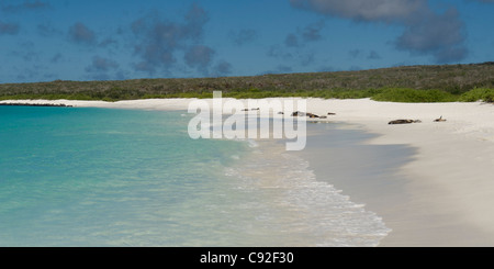 Isole Galapagos Foto Stock