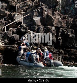 I turisti deboarding da un panga, Prince Philip le fasi, Isola Tower, Darwin Bay, Genovesa Island, Isole Galapagos, Ecuador Foto Stock