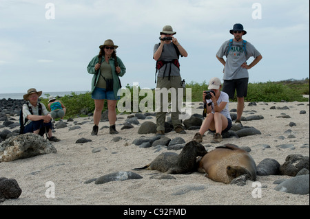 Isole Galapagos Foto Stock