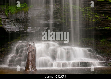 Il fondo di Harrison Wrights cade in Ricketts Glen State Park, PA. Foto Stock