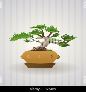 Albero di Bonsai illustrazione Arte Asiatica - albero di Bonsai Illustrazione disegnata come illustrazione tecnica Foto Stock