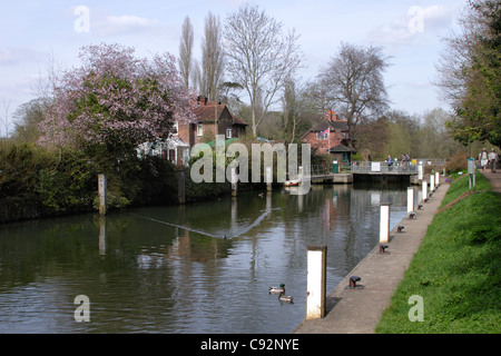 Sonning bloccare Berkshire Foto Stock