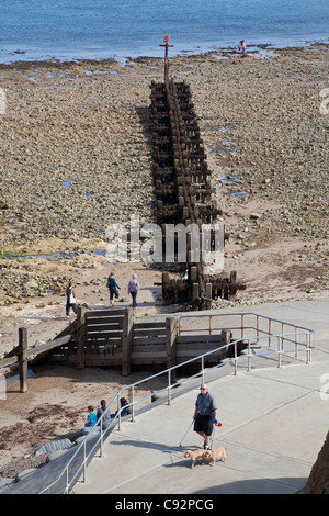 Uomo con due cani di fronte al mare e a West Runton, Norfolk Foto Stock