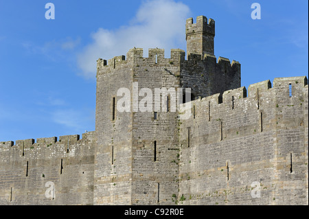 Caernarfon Castle gwynedd north Wales UK Foto Stock