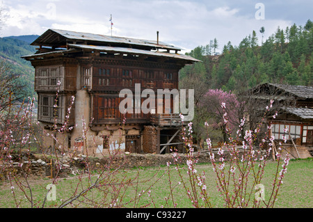 Una vecchia casa colonica in Bhutan tradizionale stile architettonico nella periferia di Jakar. Foto Stock