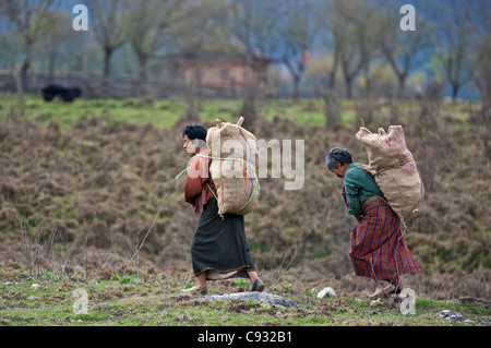 Le donne di tornare a casa carichi di produrre dopo il lavoro nei loro campi nella fertile valle Phobjikha. Foto Stock
