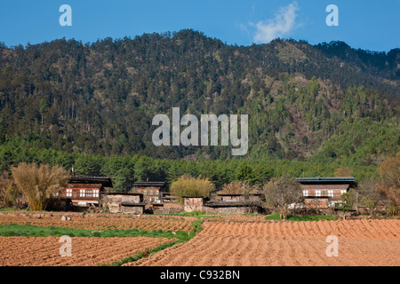 Le aziende agricole della fertile valle Phobjikha. Foto Stock