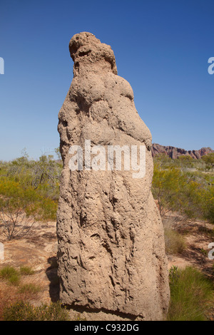 Termite mound, pasticciare Bungles, Parco Nazionale di Purmululu, regione di Kimberley, Australia occidentale, Australia Foto Stock