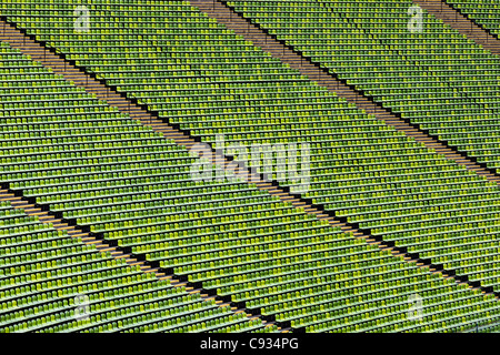 Verde posti a sedere stile stadio di Monaco di Baviera stadio olimpico, Monaco di Baviera Olympic Park, Gern Monaco di Baviera, Germania Foto Stock