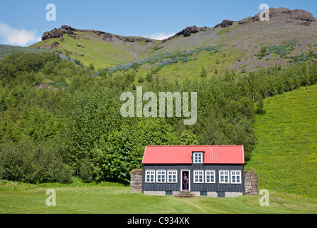 La vecchia casa di Holt a Skogar Museum, Skogasafn. Foto Stock