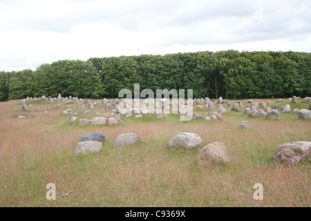 Lindholm hill - antico cimitero viking in Danimarca Foto Stock