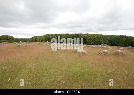 Lindholm hill - antico cimitero viking in Danimarca Foto Stock