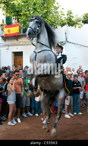 Cavaliere e cavallo in abito tradizionale alla celebrazione locale 'Sant Jaume Fiesta', Es Castell, Menorca, Baleari, Spagna Foto Stock