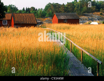 Villaggio di Harstena nell arcipelago Gryts Swedens sulla costa est nel Mar Baltico Foto Stock