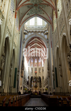 Interno del Sint Janskathedraal (Saint John's Cathedral in inglese) in Den Bosch, Paesi Bassi, visto dalla navata centrale. Foto Stock