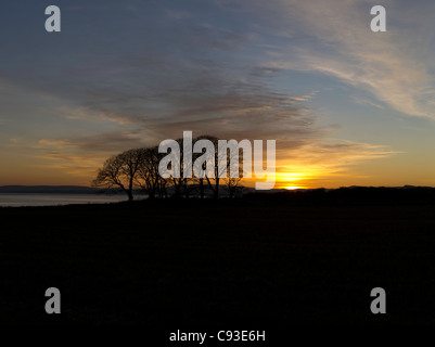 dh GOLSPIE AREA SUTHERLAND Sunset campo bosco alberi nuvole gialle E il sole che tramonta la costa del Mare del Nord autunno crepuscolo Highland scozzese altopiani del regno unito Foto Stock