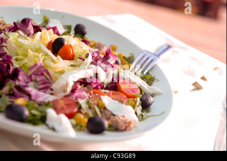 Insalata verde con verdure tonno mozzarella Foto Stock