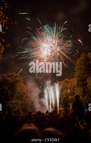 La folla a guardare i fuochi d'artificio il 4 novembre 2011. Campi Corams, Bloomsbury, Camden, London, England Foto Stock