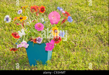 Molla di coloratissimi fiori in un contenitore quadrato su erba verde Foto Stock