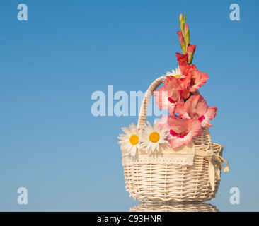 Bianco cesto in vimini con fiori rosa e bianchi contro il cielo blu chiaro Foto Stock