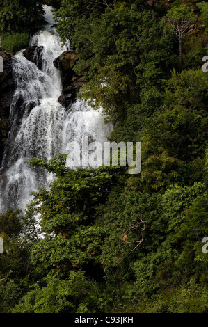 Cascata in una foresta Foto Stock