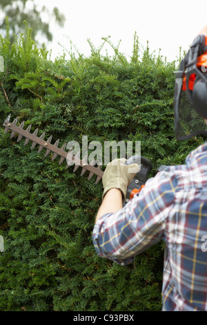 Uomo siepe di fresatura Foto Stock