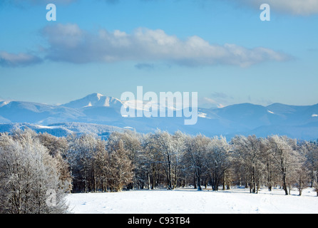 Ottobre mountain foresta di faggio bordo e prima neve invernale (Monte Goverla nel lontano, Ucraina) Foto Stock