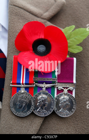 Un membro della British Legion indossa un papavero e medaglie all'armistizio giorno (giorno del ricordo) cerimonia in Sunderland, Tyne and Wear, Inghilterra. La cerimonia onori servizio persone che sono caduti in un conflitto armato. Foto Stock