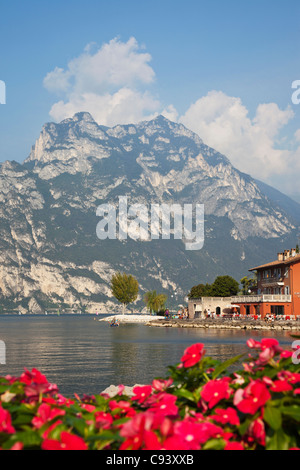 L'Italia, Trento, Lago di Garda, Torbole Foto Stock