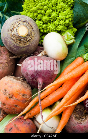 Verdure miste: navoni, carote, patate, barbabietole, svedese, porri e cavolo romano Foto Stock