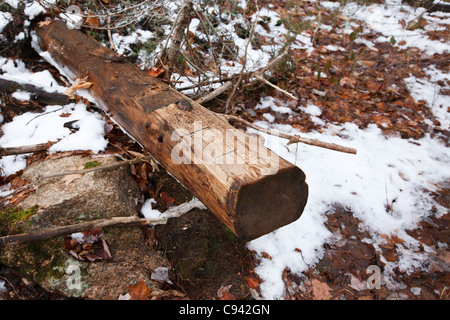 Traversine ferroviarie dalla registrazione abbandonati ferrovia a Lincoln, New Hampshire USA Foto Stock