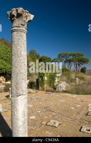 Mosaici bizantini e rimane, Beit Mery, Metn, Monte Libano, Libano. Foto Stock