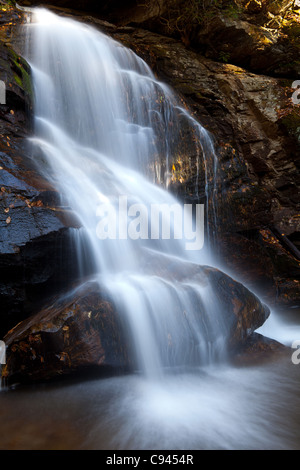 Maidenhair cade nel Ravel Cliff Falls area ricreativa. Foto Stock