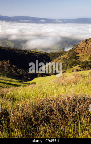 CALIFORNIA - Fog-riempito di Santa Ynez Valley per le Montagne di Santa Ynez da Figueroa Mountain Road a Los Padre National Forest. Foto Stock