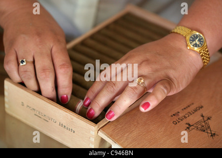 Commessa mostra una scatola di Montecristo sigari nel negozio di tabacchi Casa del tabacco in Trinidad, Cuba. Foto Stock