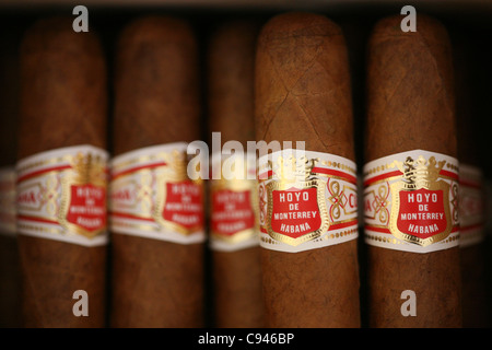 Hoyo de Monterrey sigari visto nel negozio di tabacchi Casa del tabacco in Trinidad, Cuba. Foto Stock